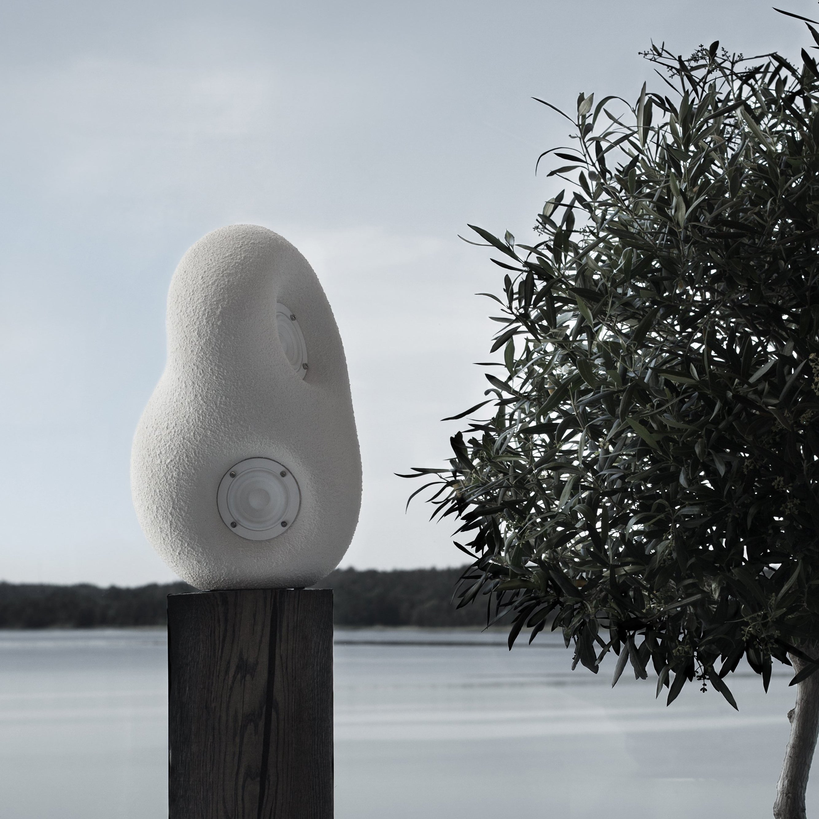 Acoustic Sculpture