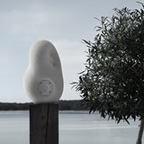 Acoustic Sculpture