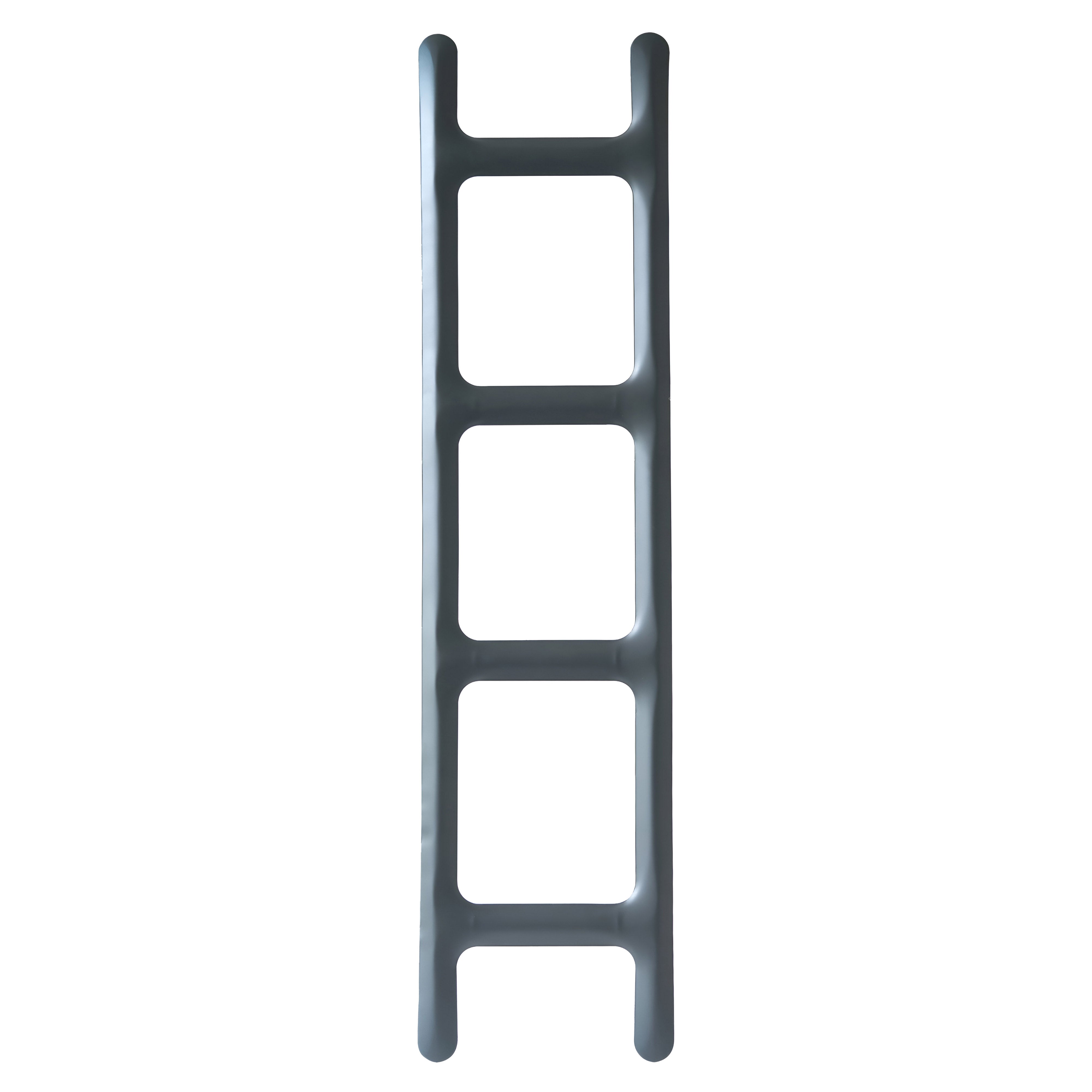 Drab Ladder Hanger