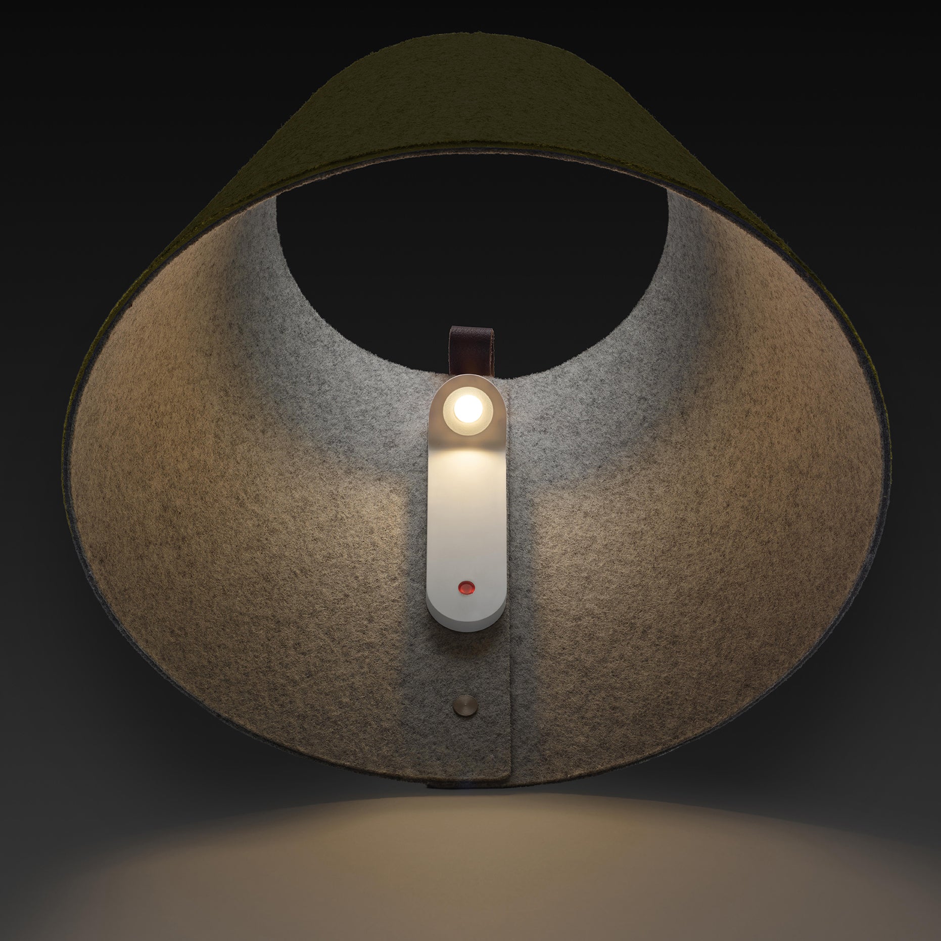 insitu