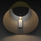 insitu