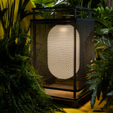 insitu