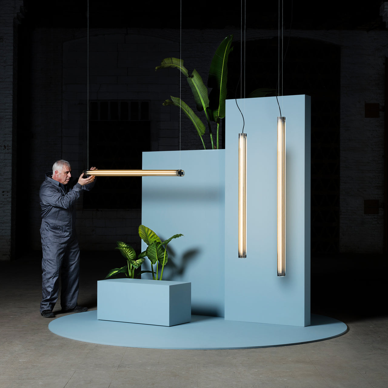 insitu