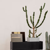 Plant Box Pot