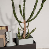 Plant Box Pot