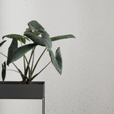 insitu