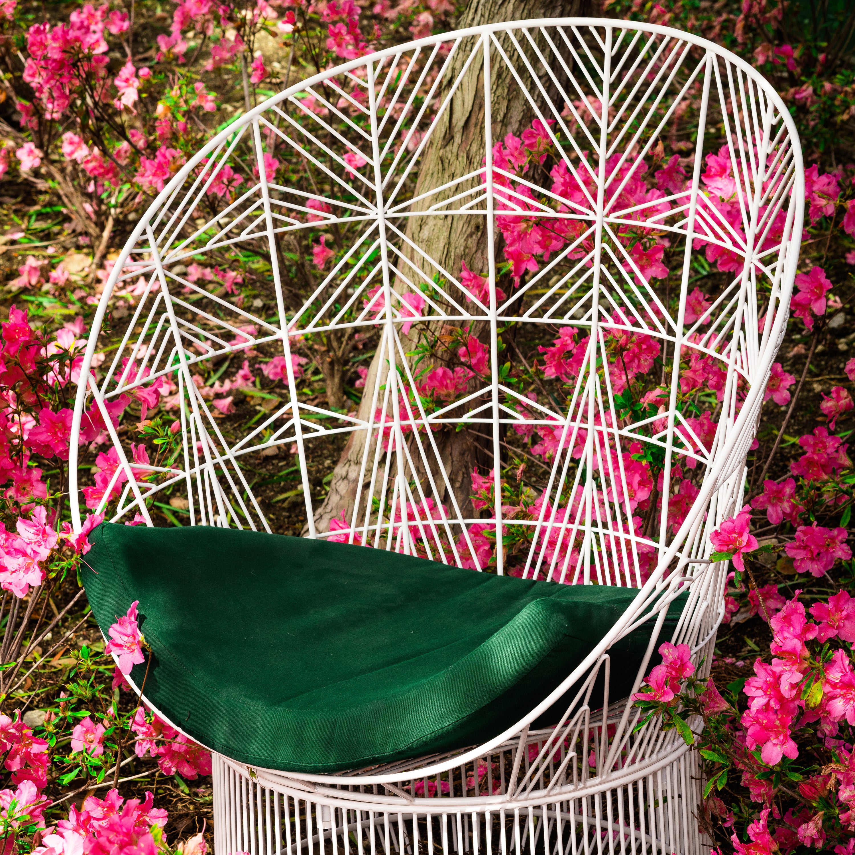 Peacock Lounge Chair: Color
