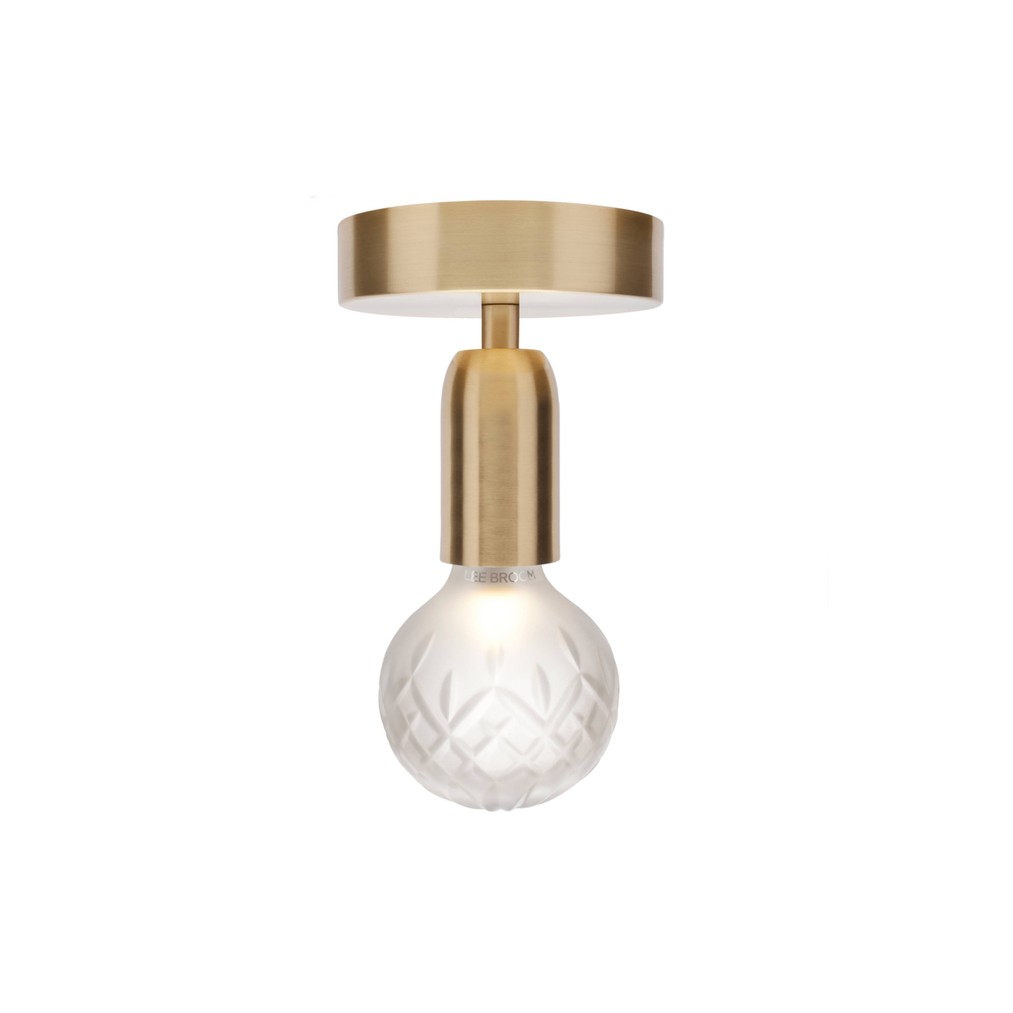 Crystal Bulb Ceiling Light: Forsted