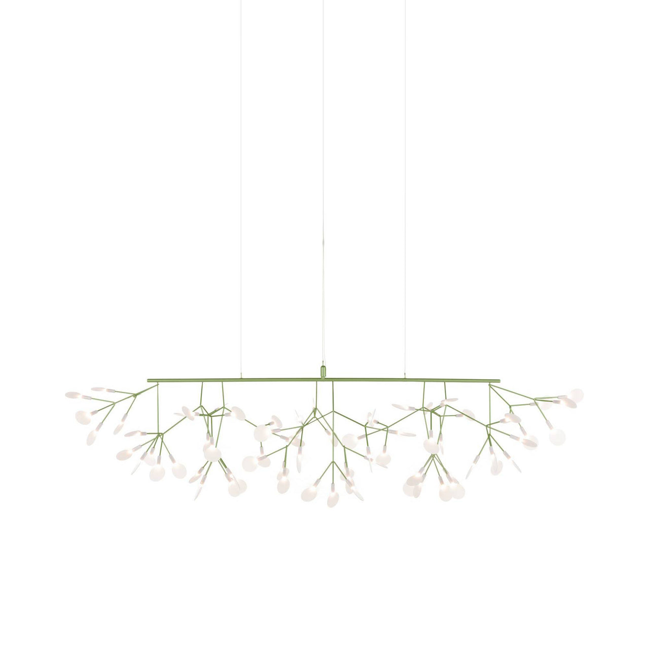 Heracleum III Linear Light: Green