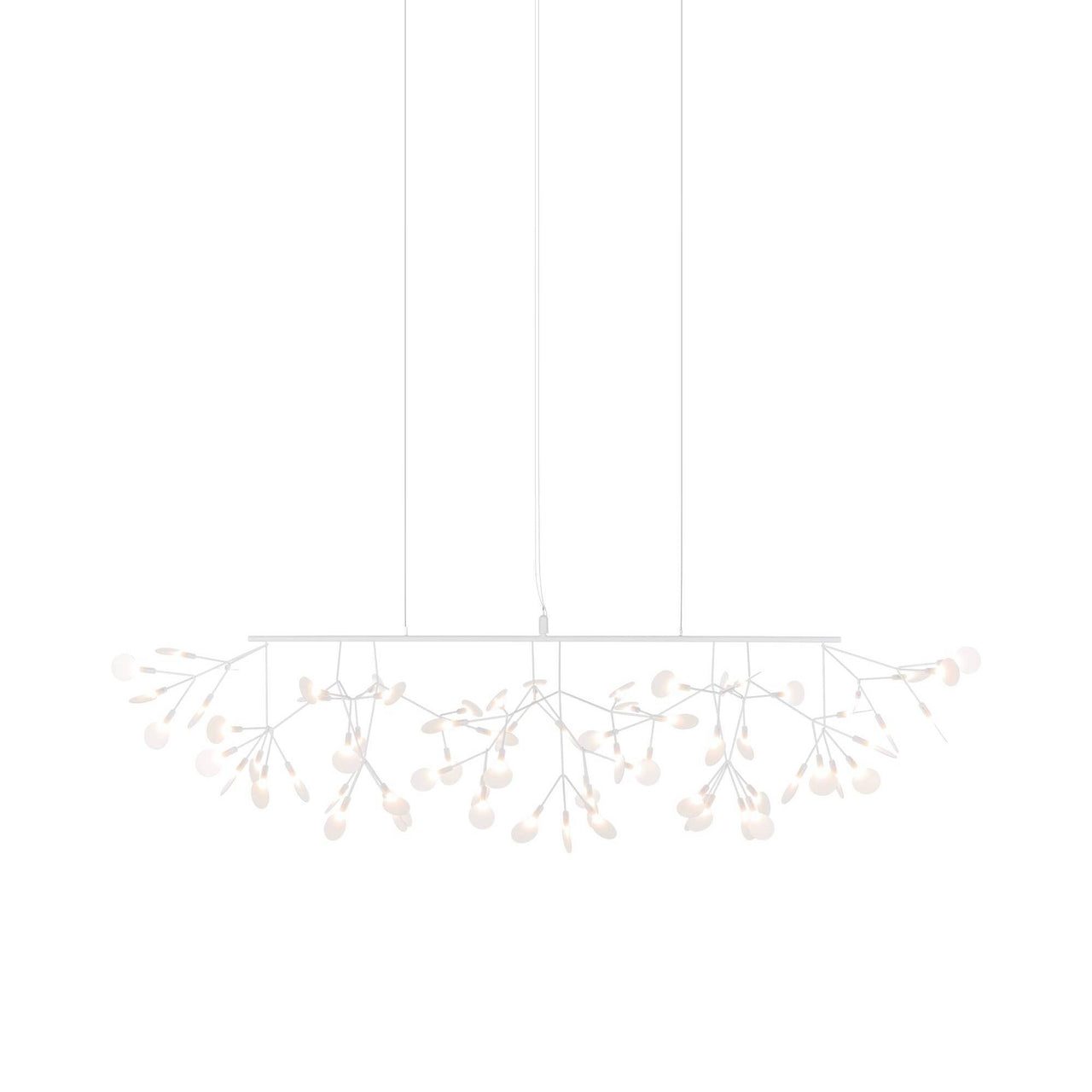 Heracleum III Linear Light: White