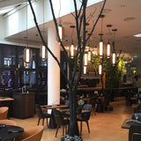 insitu
