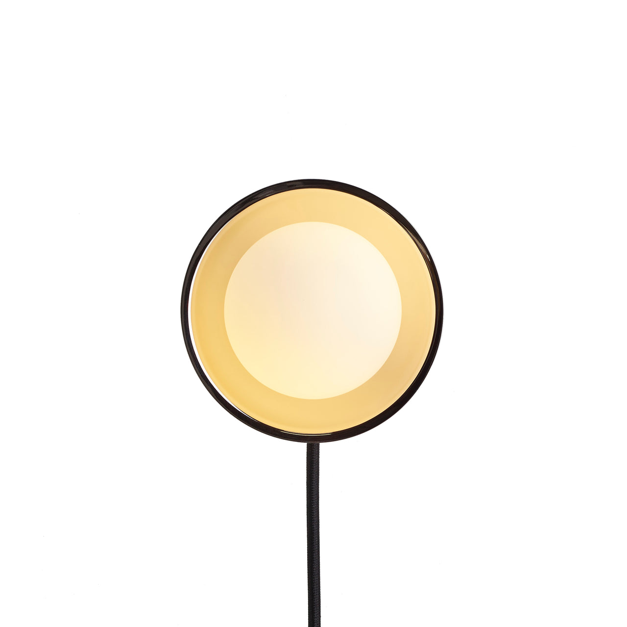 Janed Wall Light with Cable: Satin Brass + Satin Brass