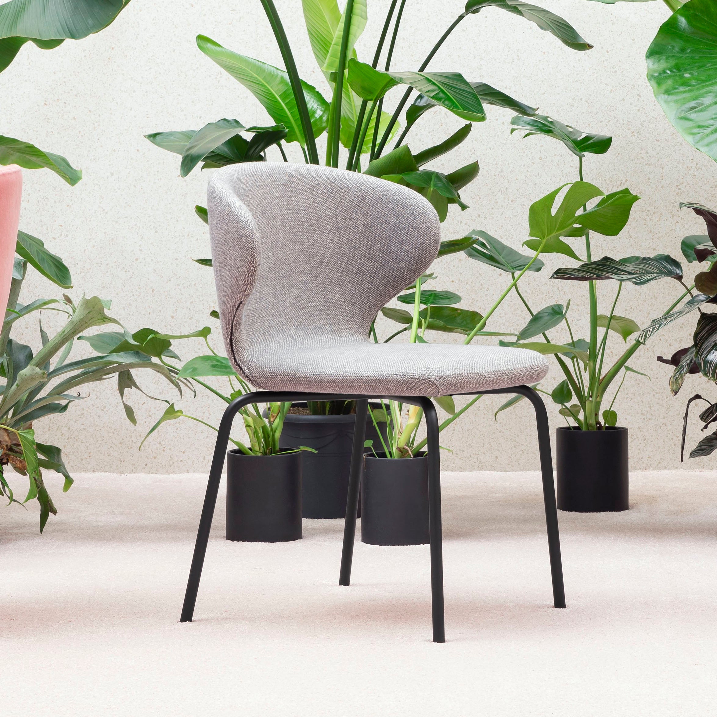Mula Home Rocking Chair Mula Stacking Side Chair | Buy Miniforms online at A+R