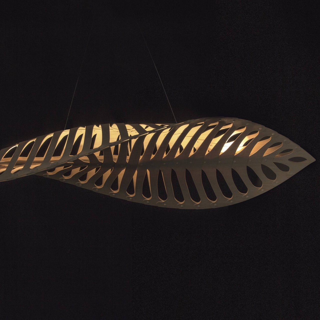 Navicula Pendant Light: LS