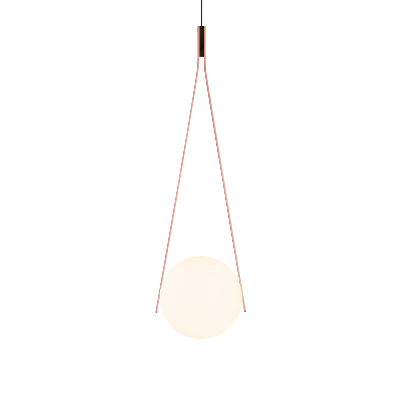 NomNom Suspension Lamp: Blossom