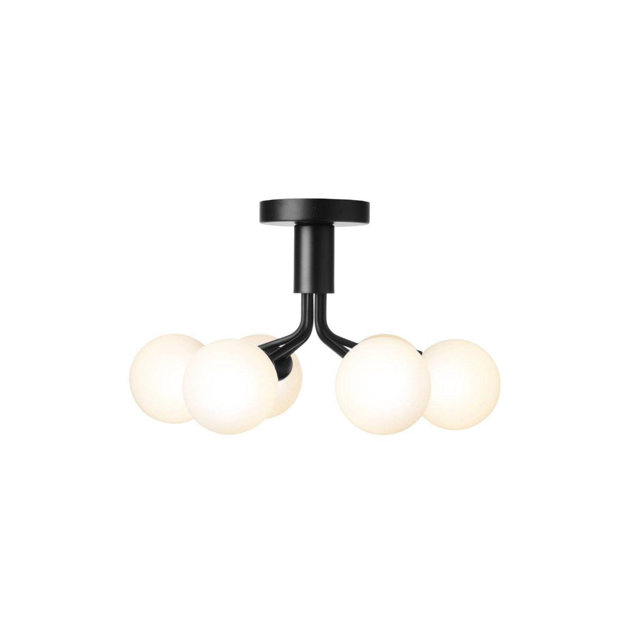 Apiales 6 Ceiling Lamp: Satin Black + Opal White