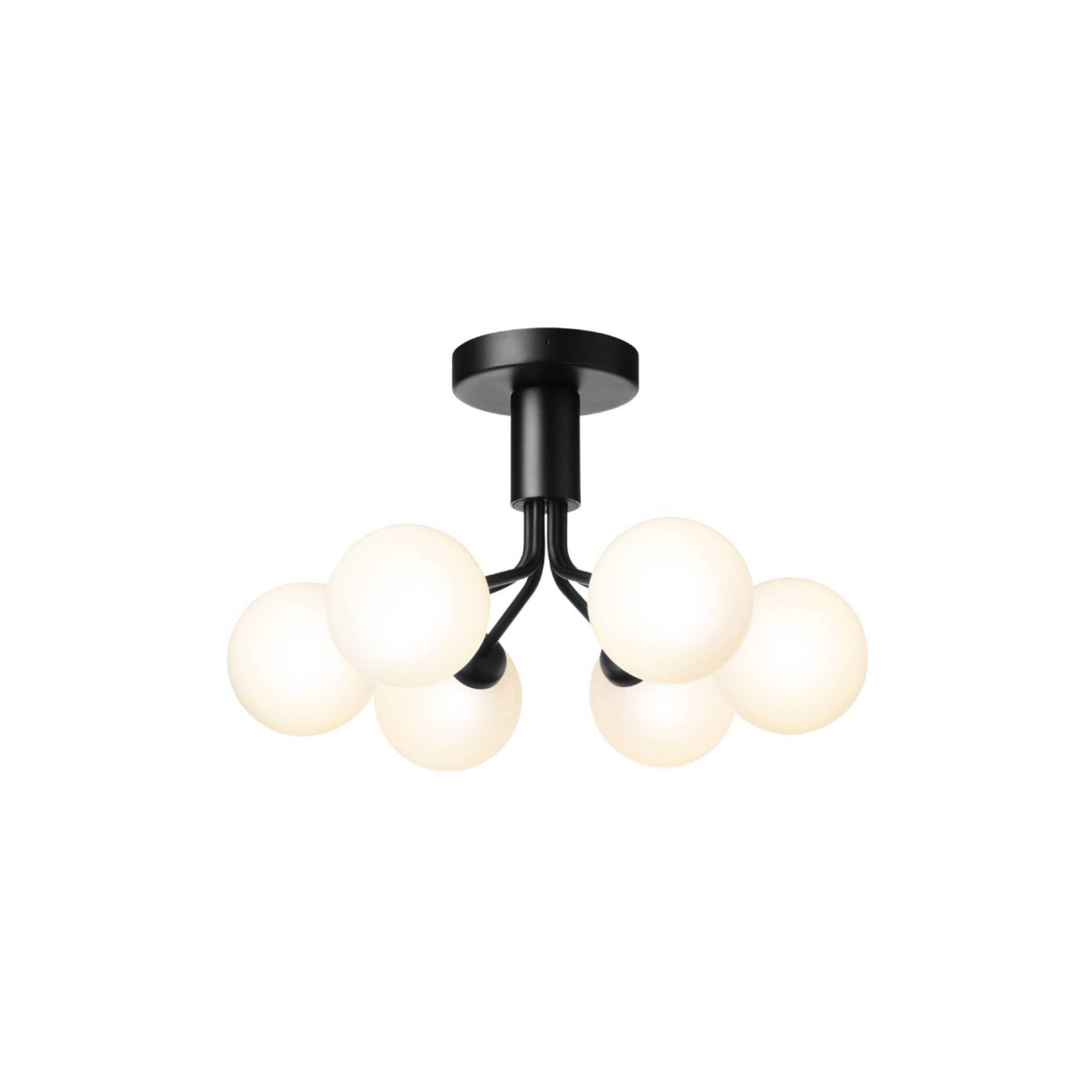 Apiales 6 Ceiling Lamp: Satin Black + Opal White