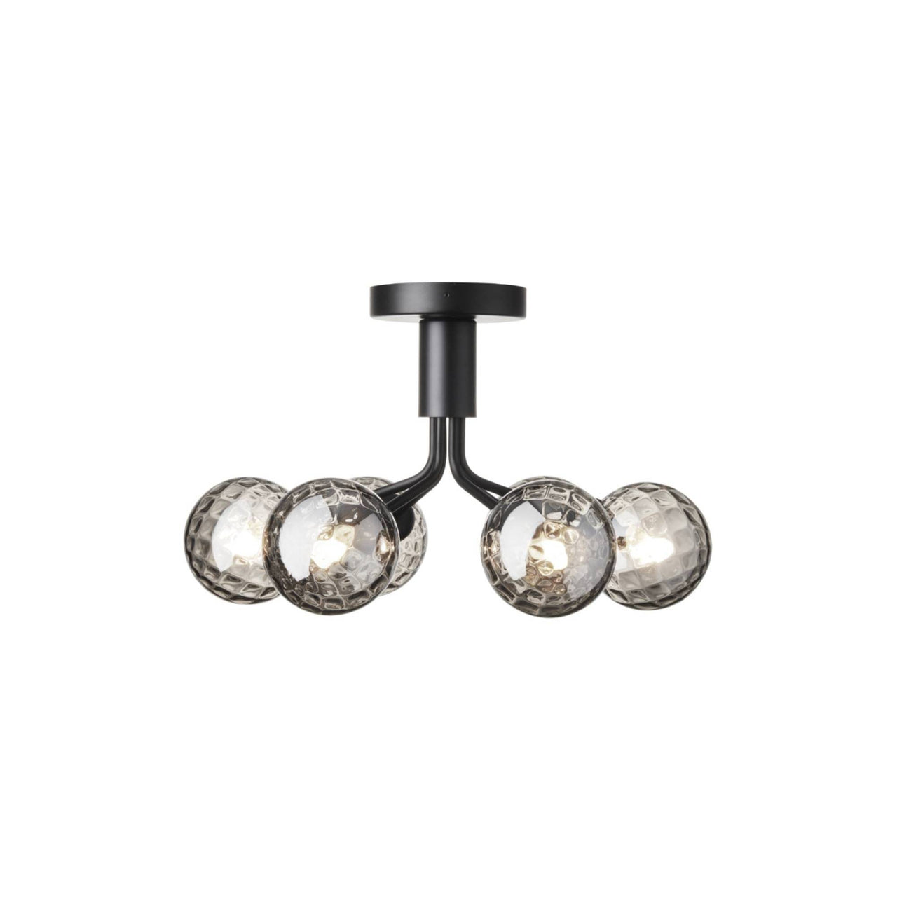 Apiales 6 Ceiling Lamp: Satin Black + Optic Smoked