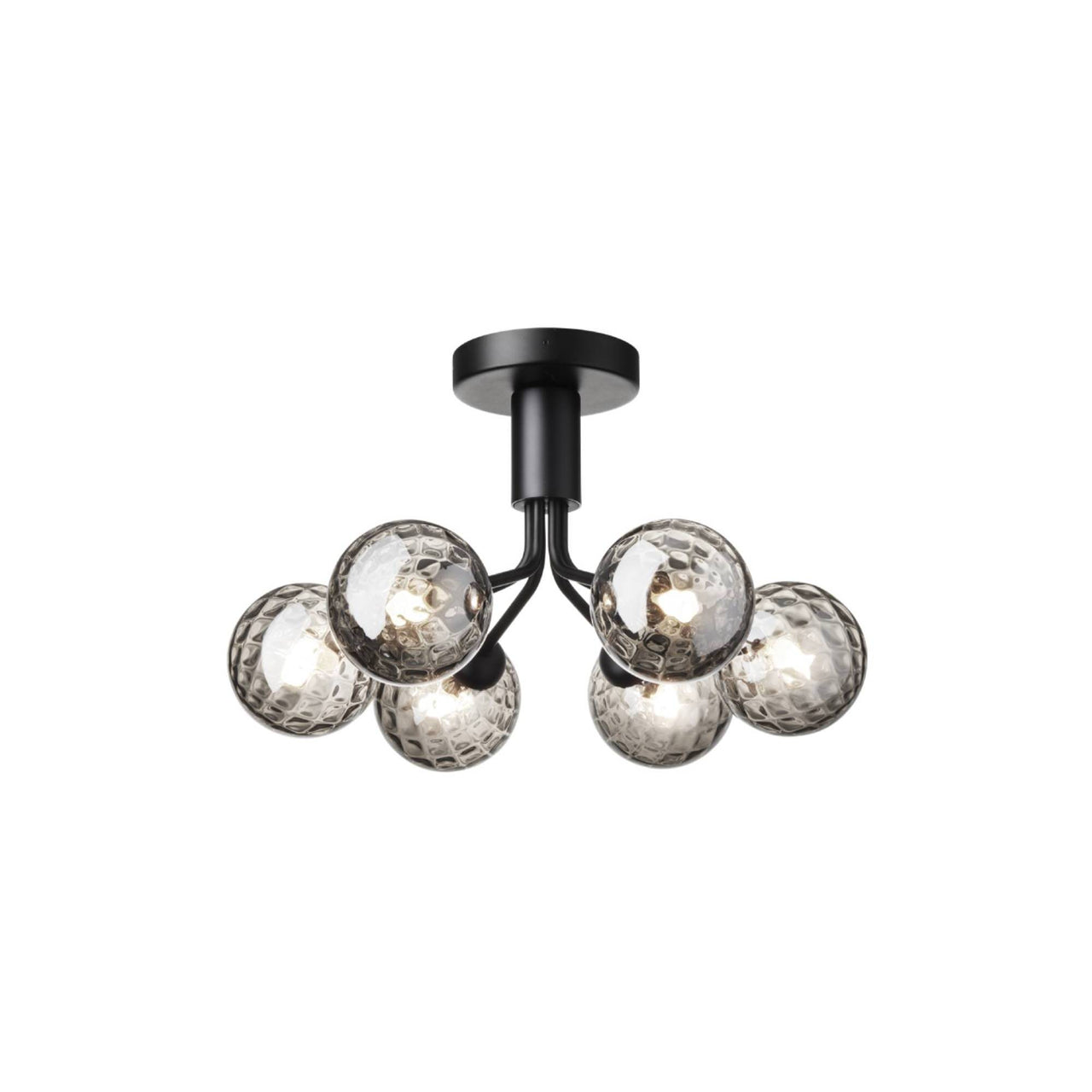 Apiales 6 Ceiling Lamp: Satin Black + Optic Smoked