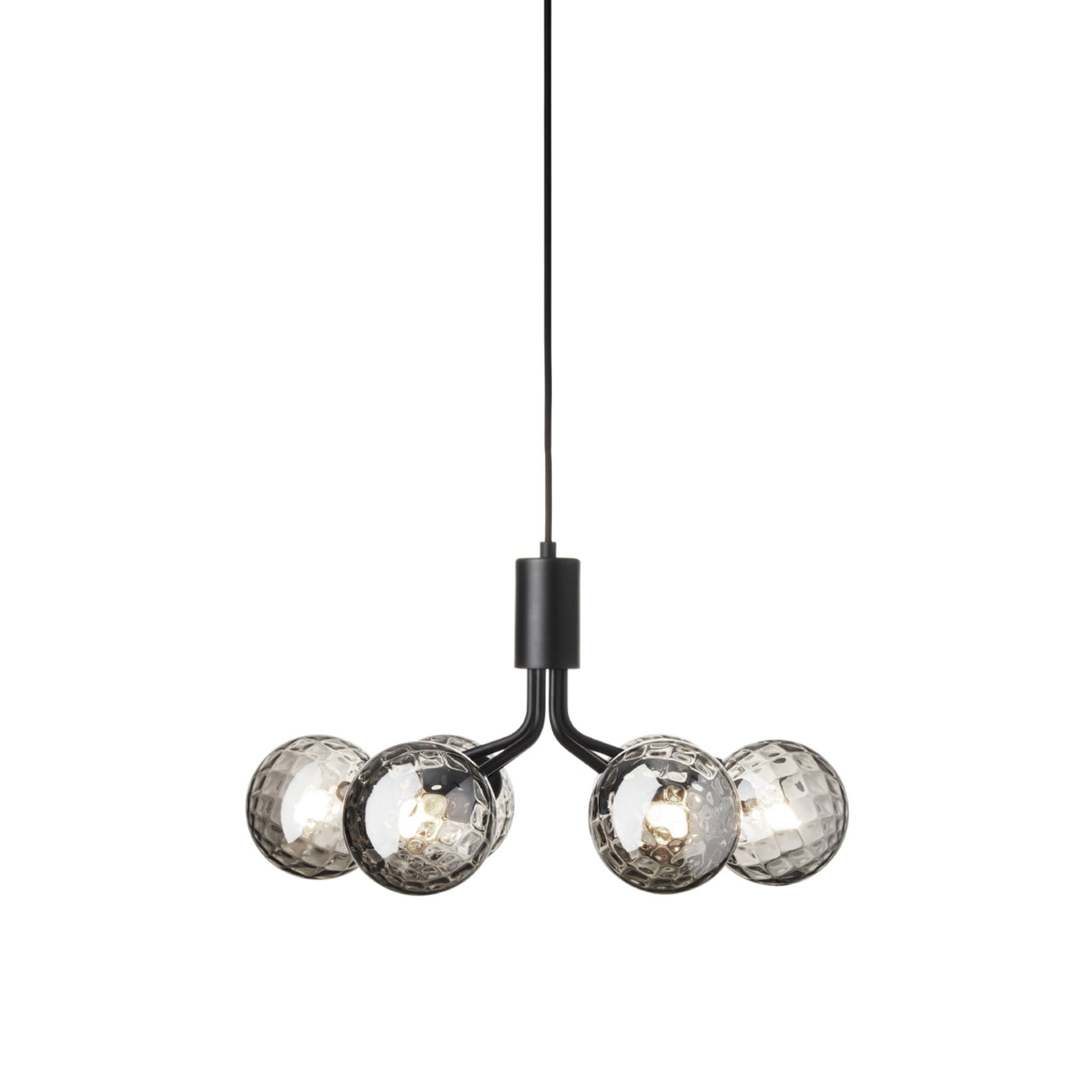 Apiales 6 Pendant Light: Satin Black + Optic Smoked + Black