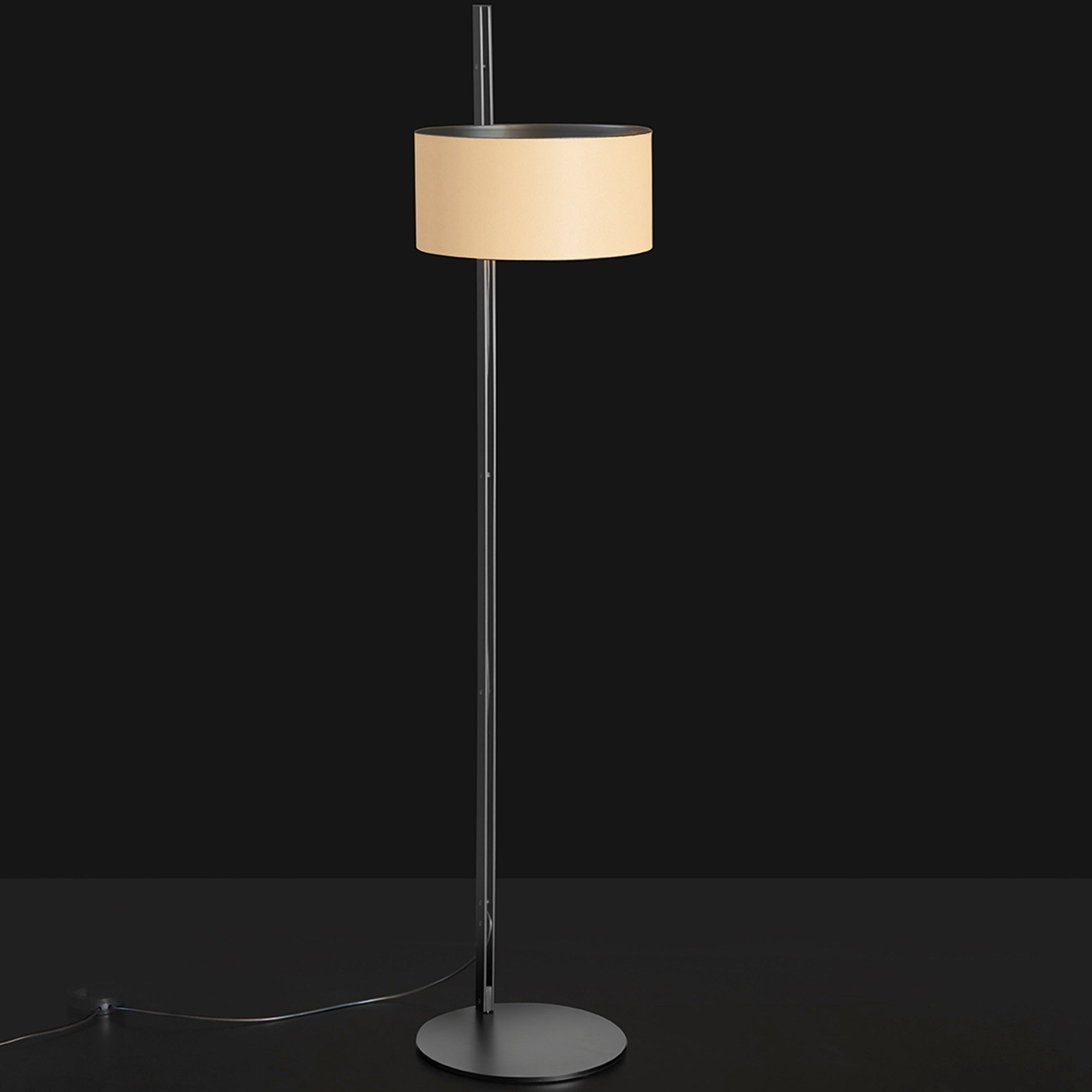 Parallel Floor Lamp