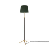 Pie de Salón Floor Lamp: G3 + Polished Brass + Green