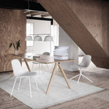 Ply Rug: LS