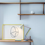 Type 75 Desk Lamp: Paul Smith Edition One + LS