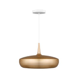 Clava Dine Pendant: Brushed Brass + White + Canopy