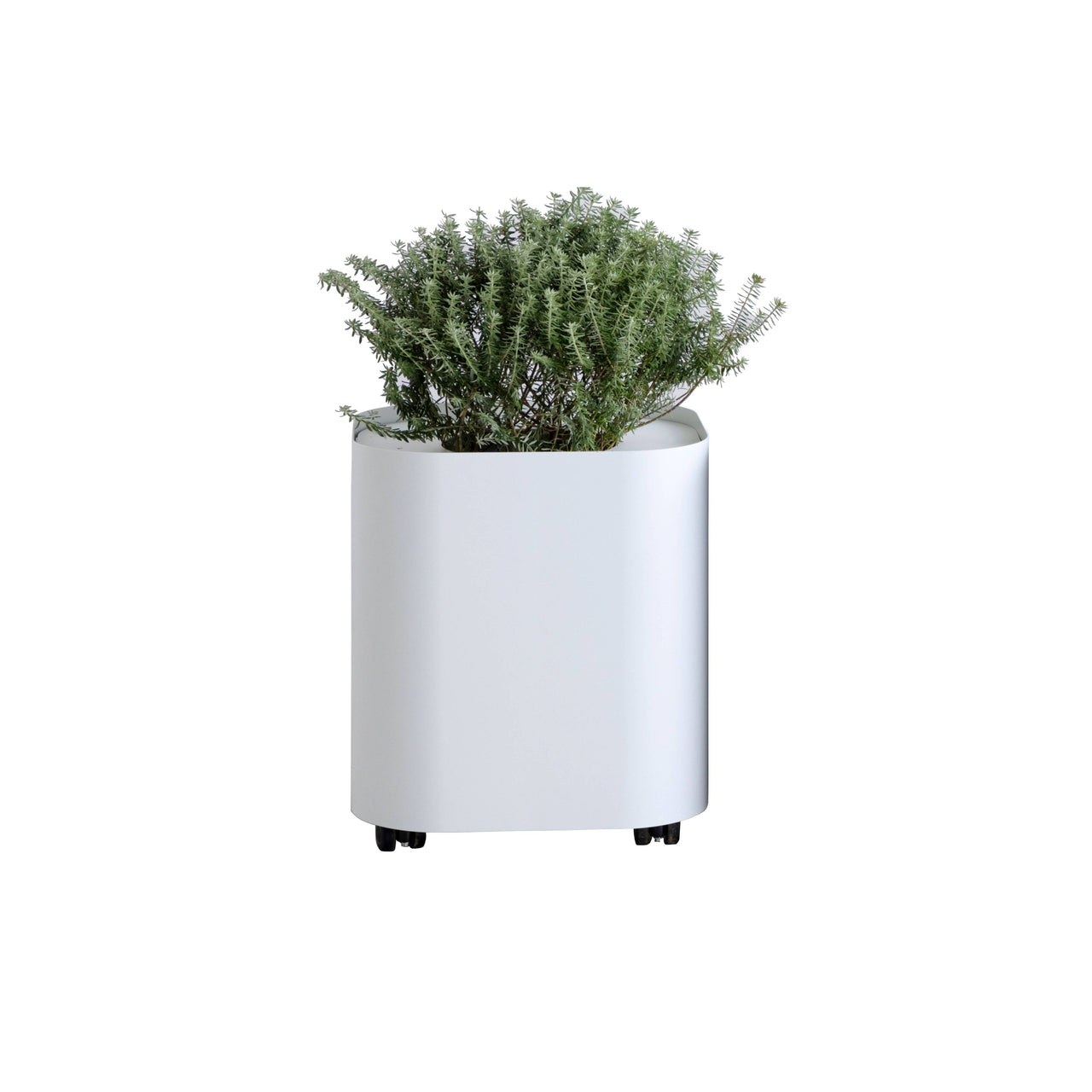 Loaf Planter: Outdoor + White