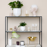 Frame Box