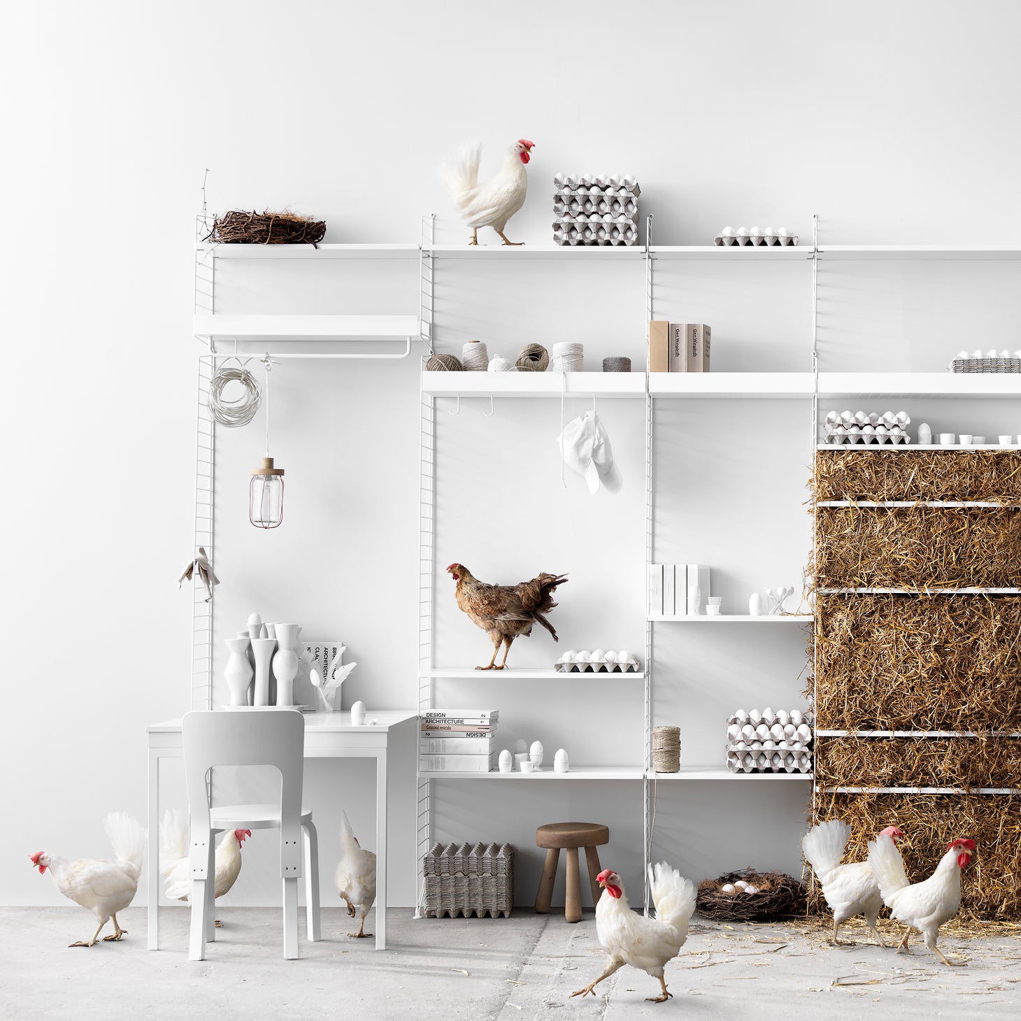 String System: Rods | Buy String online at A+R