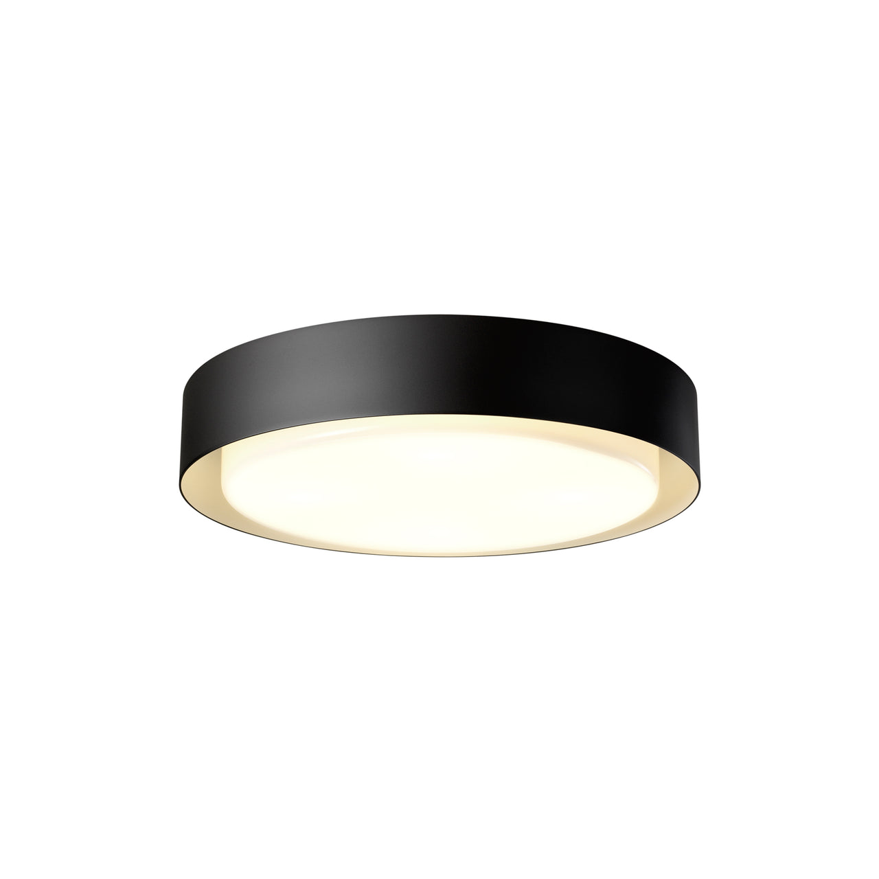 Plaff-On! Wall/Ceiling Light: Large - 19.7